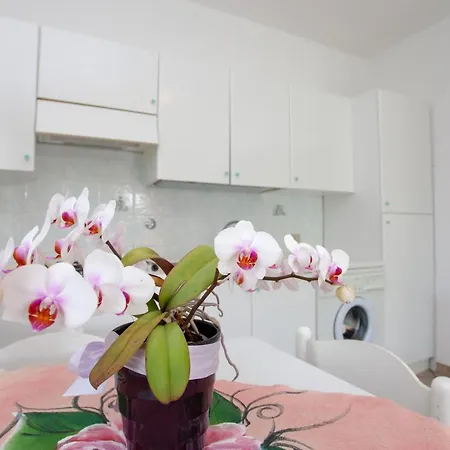 Дом отдыха Le Colonnine Сан-Теодоро