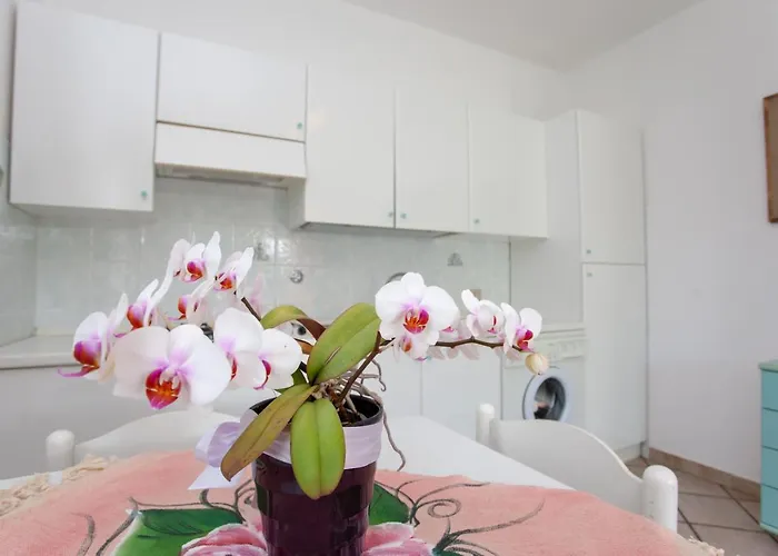 Casa vacanze Le Colonnine San Teodoro (Sardinia)